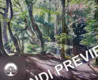 2022 06 18 16 35 46 utc