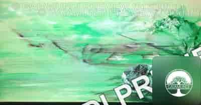 2024 09 24 18 01 44 utc 4