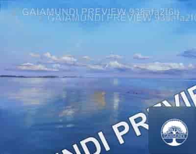 2025 06 16 16 26 44 utc 1